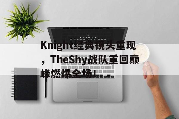 Knight经典镜头重现，TheShy战队重回巅峰燃爆全场！